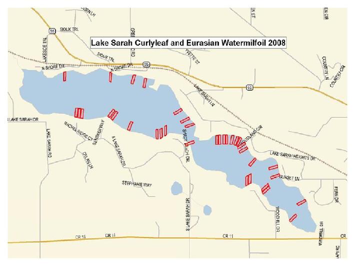 Map of May 2008 weed treatment areas to control curlyleaf pondweed and eurasian watermilfoil. courtesy of Tom Snook, Lake Restoration, Inc.
